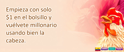 Bono de Recarga Diaria promotion